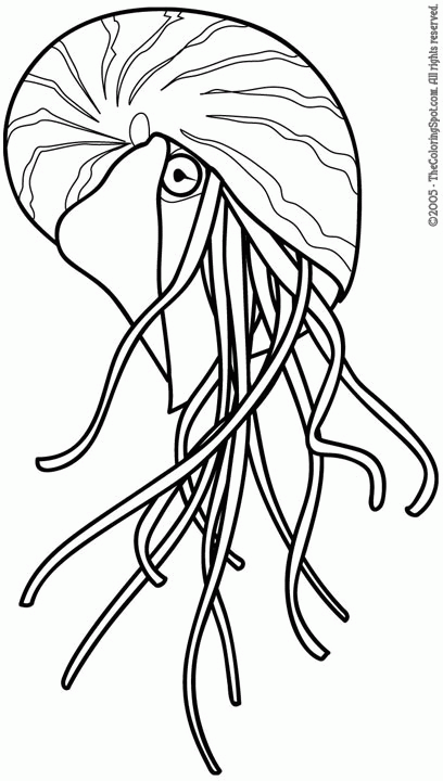 Kolorowanka Meduza - Morska Przygoda dla Dzieci kolorowanka do druku